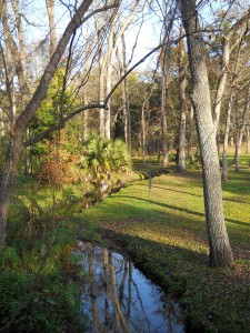 VFB_Boone_Stream Boone Park Stream